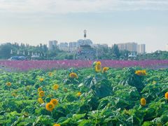 -赛汗塔拉风情园
