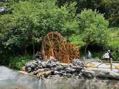 -广州白江湖森林公园