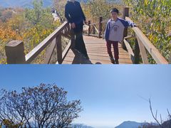 -大岭沟猕猴桃谷风景区