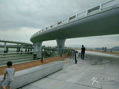 -演武大桥观景平台