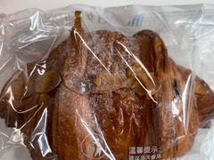 -蒲公英(五里店)
