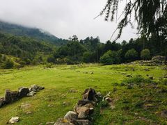 -硗碛藏寨·神木垒景区