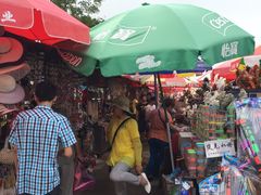 -日照灯塔风景区