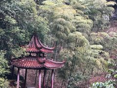 -夏霖九天银瀑风景区