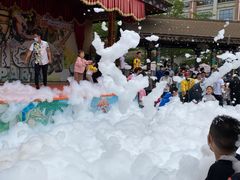 -灵玲国际马戏城
