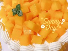 -今日·TODAY手作低脂动物奶油蛋糕定制(高新万达店)