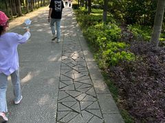 -苏州太湖国家湿地公园