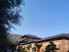 -习家池