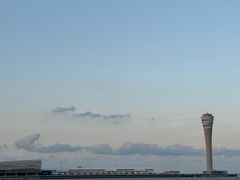 -上海吴淞炮台湾国家湿地公园