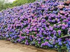 -苏州上方山国家森林公园