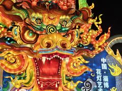 -淄博花灯齐彩城