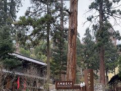 -天目山-昭明禅寺