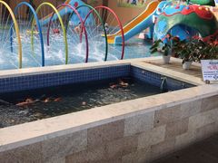 -陆地游轮吉林神农温泉