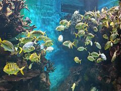 -多彩贵州城极地海洋世界