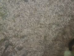 -宝丽金大酒店·洗浴中心