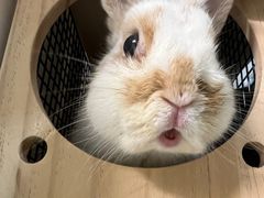 -雨林宠物医院 非犬猫异宠专科
