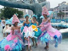-海合安成都极地海洋公园