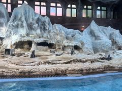 -帝企鹅自助餐厅•儿童岛•真企鹅(长隆企鹅酒店)