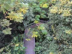 -佛山华盖山公园
