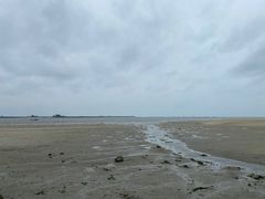 -北海金海湾红树林生态旅游区