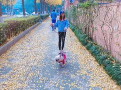 -丰盛里
