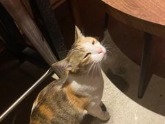 -埋位小酒馆(东城店)