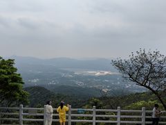 -广州市帽峰山景区