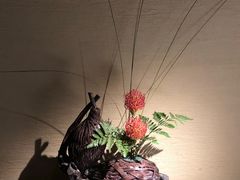 -觀芷隐轩