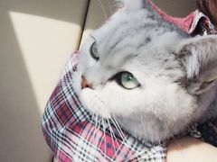 -北京博爱动物医院有限公司