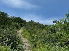 -北京西山国家森林公园