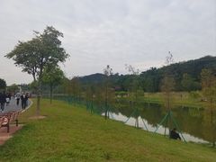 -东莞植物园