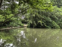 -桤木河湿地公园