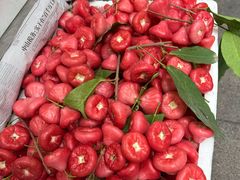 -老炳·七丛松甘草水果