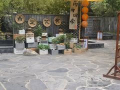 -西安国际创新人才交流中心•药浴温泉