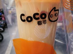 -CoCo都可(宝龙广场店)