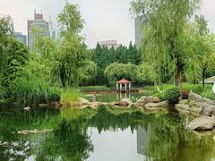 -新虹桥中心花园