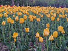 -长春公园(普阳街道)