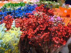 -双季花艺园艺市场(浦东店)