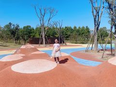 -春花秋色城市公园