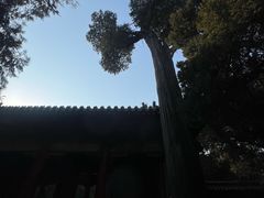-孔府