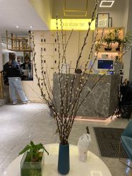 点击看大图 -菲·木田moontin造型salon