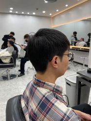 -YESIDO椰岛造型