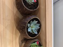 -五月甜品(中山公园店)