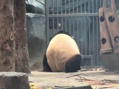 -武汉动物园