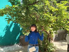 -樱桃部落培训基地