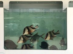 -南蚝小贝海鲜特色餐厅(南澳岛店)