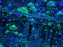 -杭州西湖星空魔幻城(星空艺术馆品牌旗舰店)