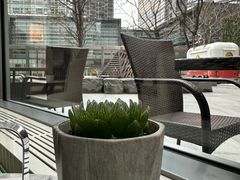 -Plush大堂酒廊(北京金融街威斯汀大酒店)