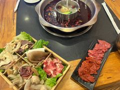 -金鼎雪山牦牛杂火锅(理县总店)