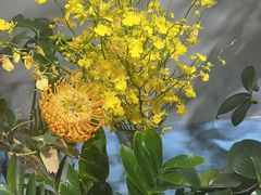 -何兮花店·气球派对鲜花店(马桥银春路万科城店)